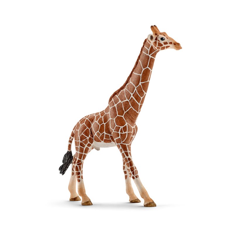 Schleich Figurina Girafa Mascul din categoria Figurine copii de la Schleich